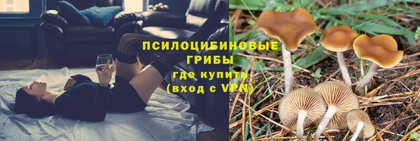 бошки Абдулино